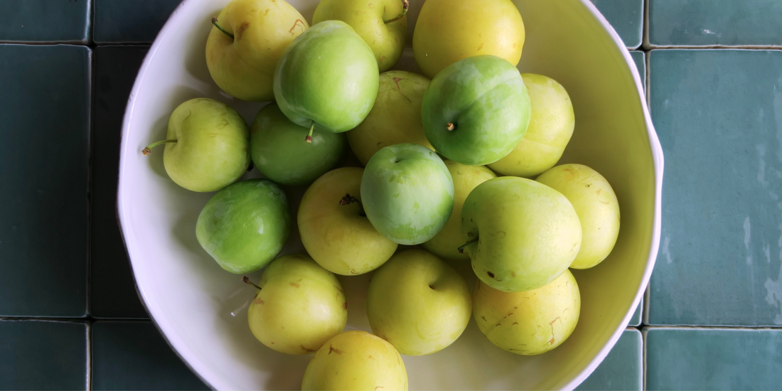 Caucasus x Appalachia | PLUMS