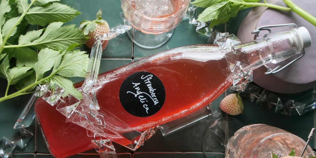 Strawberry Angelica Syrup