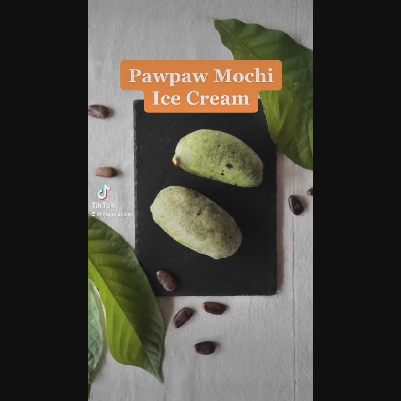 pawpaw-mochi-ice-cream